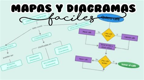 Diagrama De Flujo Y Mapa Conceptual Creativo Desde Creately Rapido Y