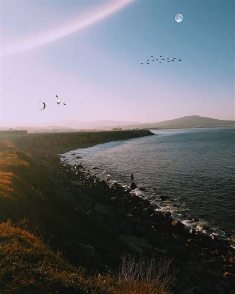 Person Standing on Mountain · Free Stock Photo