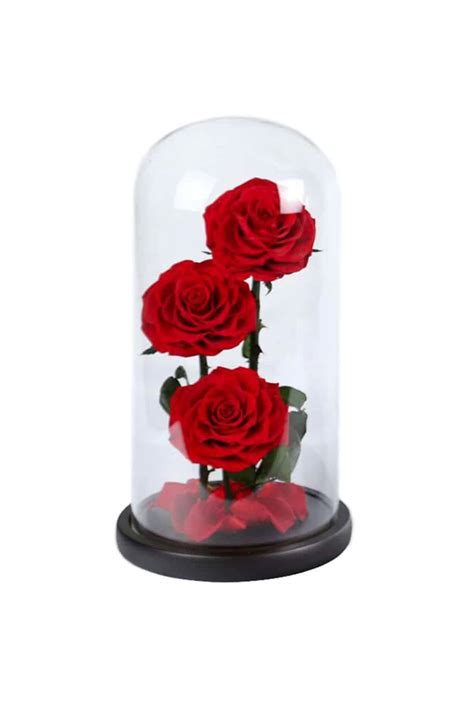 Preserved Forever Rose 3 In Glass Dome Red Plantshopme