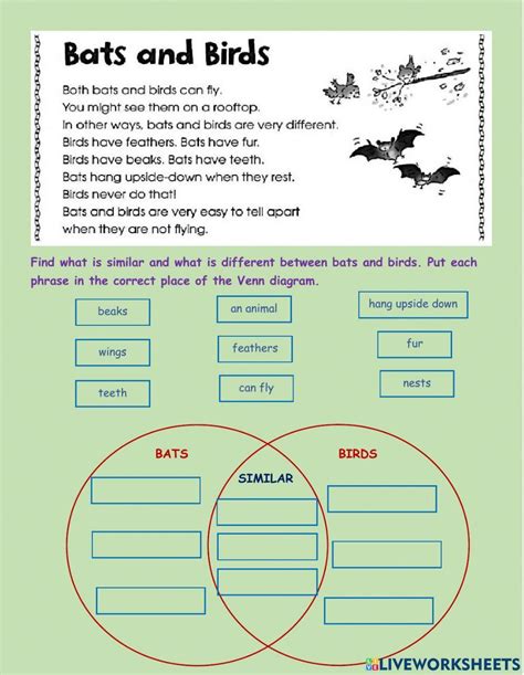 Compare And Contrast Online Exercise For Grade 3 Live Worksheets