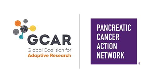 The Pancreatic Cancer Action Network And The Global Coalition For Adaptive Research Forge A