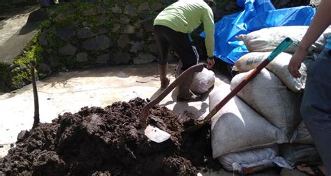 Pemanfaatan Kulit Kopi Sebagai Kompos Unggulan Untuk Budidaya Tanaman Hortikultura