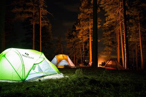 Fotos gratis árbol ligero noche luz de sol oscuridad cámping