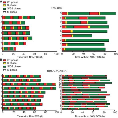 Loss of p53 suppresses replication-stress-induced DNA breakage in G1/S ... 