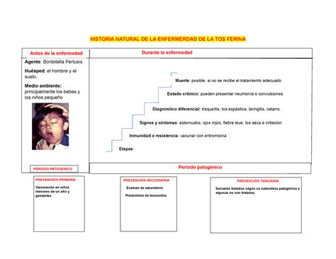 Historia Natural DE LA Enfermerdad DE LA TOS Ferina HISTORIA NATURAL