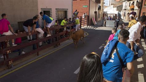 Programa de Fiestas de Alagón 2023 del toro embolado a la ruta de