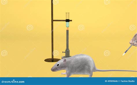 GRIFFITH EXPERIMENT INJECTED TO MICE DEATH Stock Footage - Video of ...