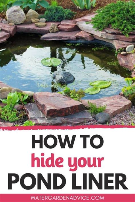 How To Hide The Pond Liner Water Garden Advice