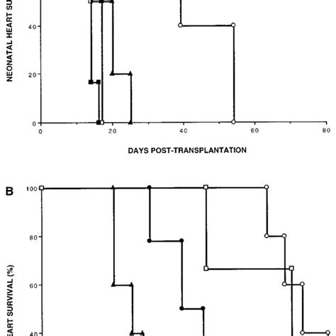 A Effect Of Ril And Anti Il Mab Therapy On Neonatal Heart Graft