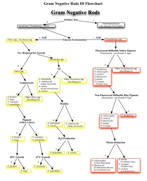 A Diagram With Several Different Types Of Diagrams