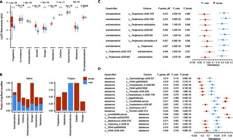 Sex Specific Microbes Hormonal Interplays Explained The Observed Download Scientific Diagram