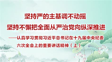 坚持严的主基调不动摇 坚持不懈把全面从严治党向纵深推进 ——认真学习贯彻习近平总书记在十九届中央纪委六次全会上的重要讲话精神 （上） 好干部