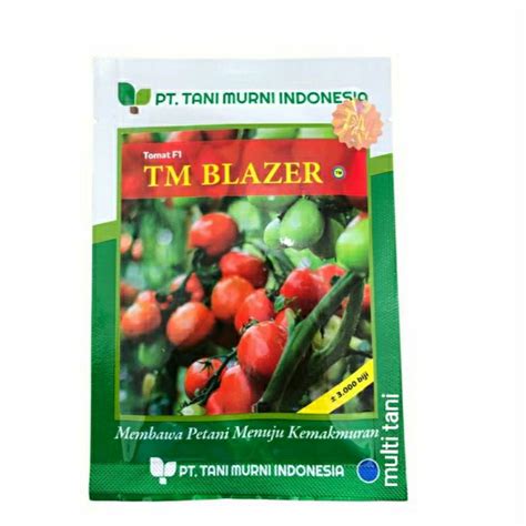 Jual Benih Tomat Besar TM Blazer Isi 3000 Biji Shopee Indonesia