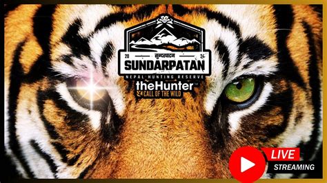 Sundarpatan LIVE Grinding Tigers YouTube