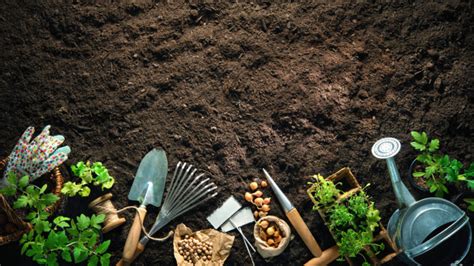 Entretien Du Potager Conseils Astuces Et Infos Pour Jardiniers