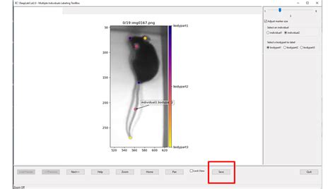 Deeplabcut Multi Animal Support 4｜sakulab