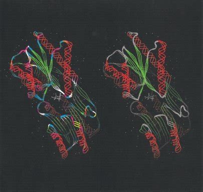 Illustration of the structure of an L-arabinose binding protein (8abp),... | Download Scientific ...