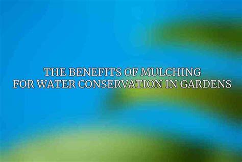 The Benefits Of Mulching For Water Conservation In Gardens Acciyo