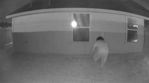 Video Man Caught Peeping In Katy Womans Bedroom Window