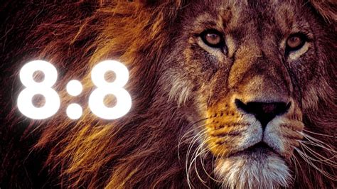 Lions Gate Portal 2024 What Is 88 Manifestation Know Its Effect On