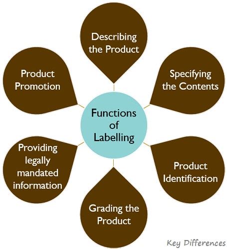 Difference Between Packaging And Labelling With Functions Examples