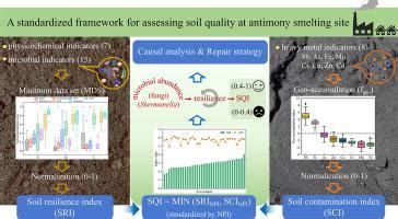 Standardized Framework For Assessing Soil Quality At Antimony Smelting