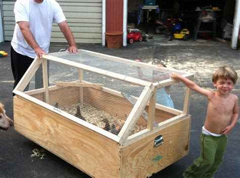 Our Chicken Setup Chicken Brooder Chicken Cages Chickens Backyard