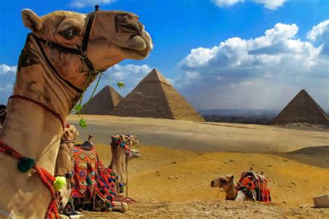 PYRAMIDS & NILE CRUISE 8 DAYS BY AIR Dahab Safari Day Tours