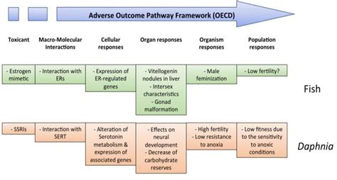 Schematic Representation Of The Proposed Prediction Model For The