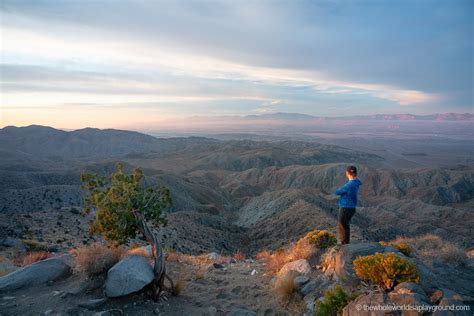 Keys View Joshua Tree National Park | The Whole World Is A Playground