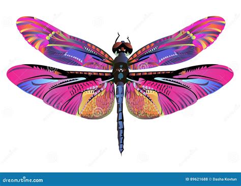 Vector Color Art Dragonfly Nature Wildlife Stock Illustration