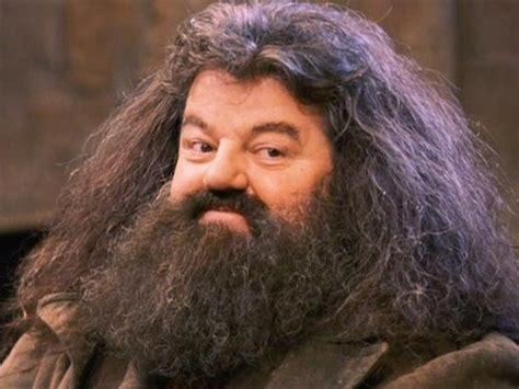 Robbie Coltrane além de Harry Potter Conheça mais sobre a carreira