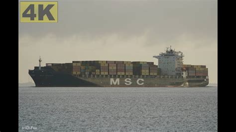 MSC GENEVA Shipspotting Germany IMO 9320427 River Elbe Near