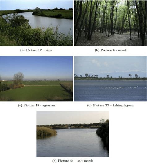 Landscape types: five examples. | Download Scientific Diagram