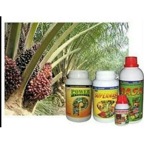 Jual Paket Budidaya Kelapa Sawit Pupuk Organik Nasa Nutrisi Sawit