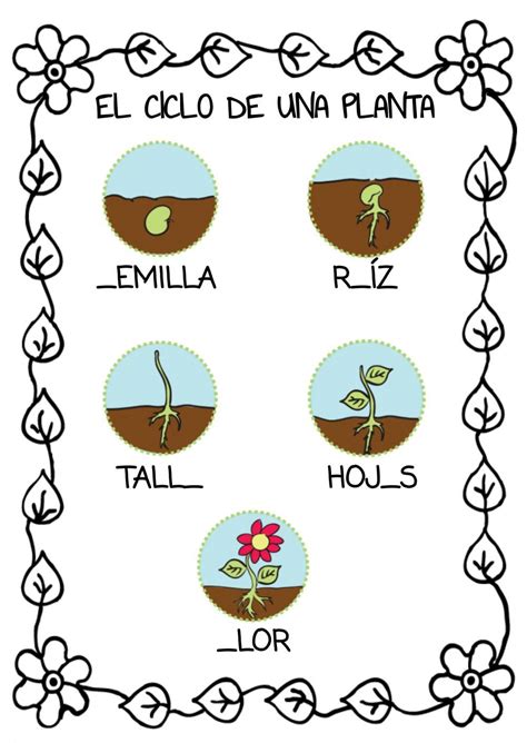 El Ciclo De Una Planta Worksheet Manualidades Del Día De La Tierra Ciclos De Vida De Las