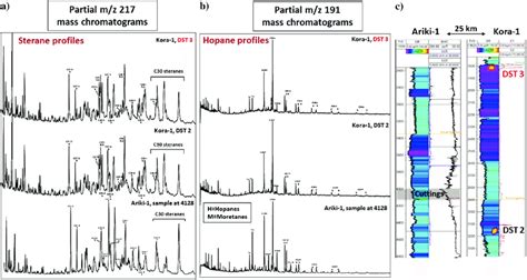 A Partial Mz 217 Mass Chromatograms Showing The Correlation Between