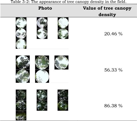 Table From Comparison Of Model Accuracy In Tree Canopy Density