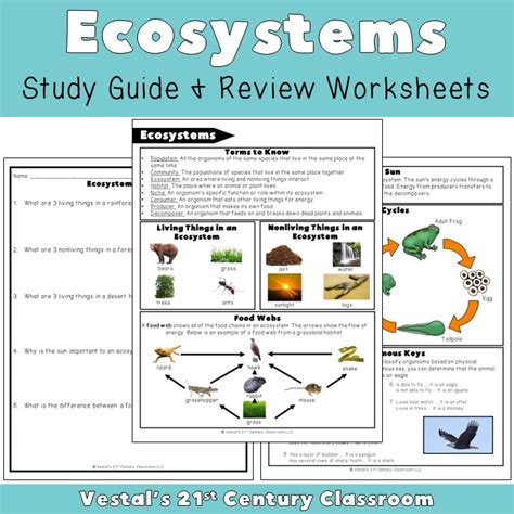 Ecosystem Review Worksheet Comprehensive Resource For Understanding