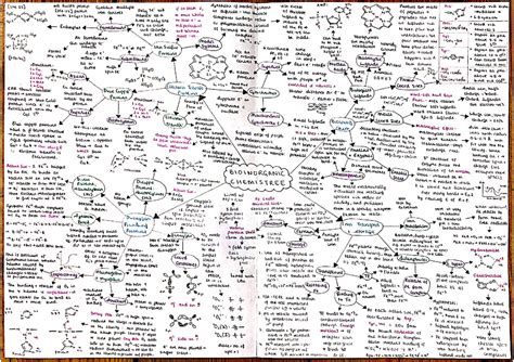 Year Inorganic Chemistry Bioinorganic Chemistry Mindmap Summary