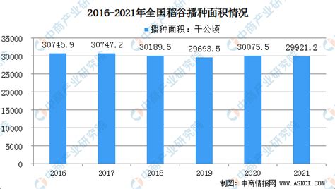 2022年中国稻谷种植行业及发展趋势分析（图） 中商情报网