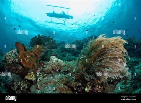 Fishing Over A Reef Silhouette Of A Traditional Outrigger Fishing Boat