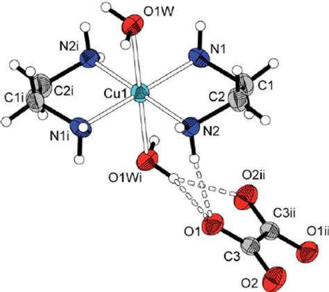 Asymmetric Unit Atom Labelling Scheme And Selected Symmetry