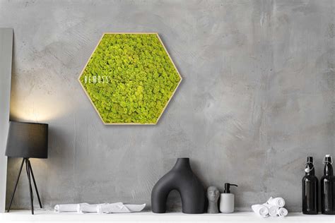 Moosbild Hexagon ISLANDMOOS Mono BEMOSS