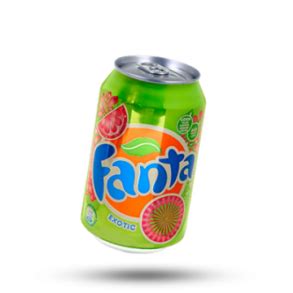 fanta-exotic-with-natural-flavors-24x330-ml-art-1549 - LydiaGrupp