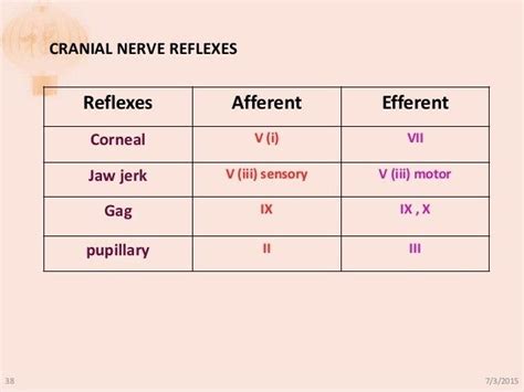 Cranial Nerve Reflexes Cranial Nerves Nerve Cns