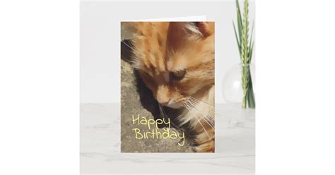 Ginger cat Birthday card | Zazzle