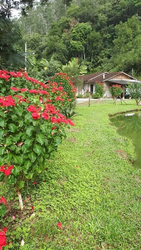 Pin De Gilvan Raimundo Em Casaril Belos Jardins Lindas Paisagens