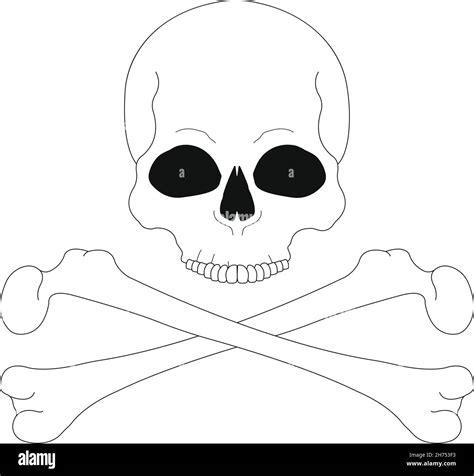 Jolly Roger Contour Lines Skull With Crossbones Stock Vector Image