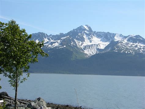 21 Best and Fun Things To Do In Seward, Alaska - Touristwire